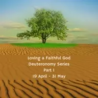 Sunday Morning Sereis